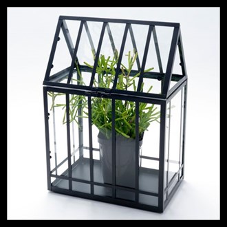 Glasshouse large
